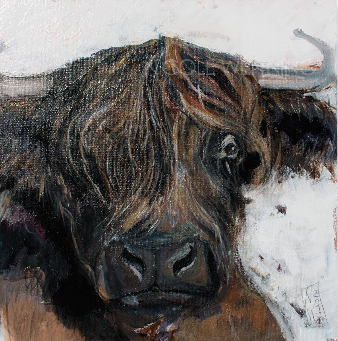 Stier - Leinwanddruck auf Keilrahmen - 20cm x 20cm - Atelier am Meer